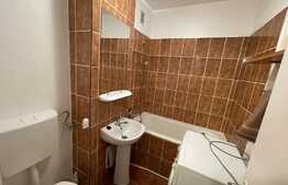Garsoniera de 30 mp, pet friendly, zona Iulius Mall