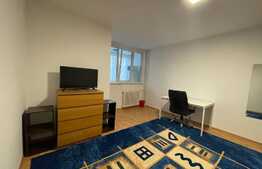 Garsoniera de 30 mp, pet friendly, zona Iulius Mall