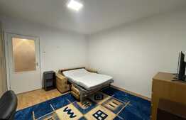 Garsoniera de 30 mp, pet friendly, zona Iulius Mall
