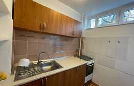 Garsoniera de 30 mp, pet friendly, zona Iulius Mall