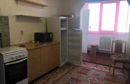 Garsoniera de 27 mp, pet friendly, zona parcului Iuliu Prodan 