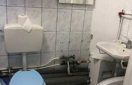 Garsoniera de 27 mp, pet friendly, zona parcului Iuliu Prodan 