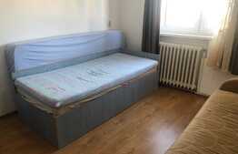 Garsoniera de 27 mp, pet friendly, zona parcului Iuliu Prodan 