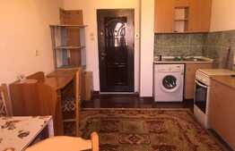 Garsoniera de 27 mp, pet friendly, zona parcului Iuliu Prodan 