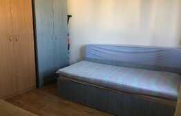 Garsoniera de 27 mp, pet friendly, zona parcului Iuliu Prodan 