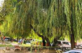 Apartament de 4 camere, etaj intermediar, 2 locuri de parcare, 2 băi, Răcădău