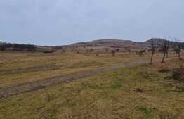 Oportunitate de investitie! Teren extravilan in zona centurii Donath