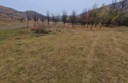 Oportunitate de investitie! Teren extravilan in zona centurii Donath