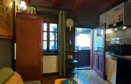 Garsoniera de 15 mp, studio, imobil tip casa, zona Centrala