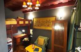 Garsoniera de 15 mp, studio, imobil tip casa, zona Centrala