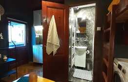 Garsoniera de 15 mp, studio, imobil tip casa, zona Centrala