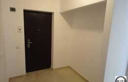 Inchiriere apartament 2 camere, 57 mp, decomandat, partial mobilat, zona Porii