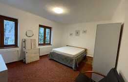 Apartament de 2 camere, decomandat, parcare, 55 mp, zona Parcului Central