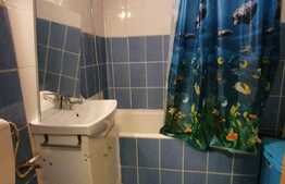 Garsoniera 30 mp, zona Profi, Grigorescu