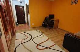 Garsoniera 30 mp, zona Profi, Grigorescu