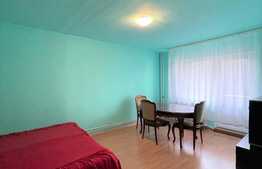 Apartament 3 camere, 67 mp, pet friendly, zona strazii Rapsodiei