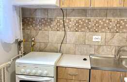 Garsoniera decomandata, totul nou, balcon, 25 mp, pet friendly, zona Fabricii de Zahar