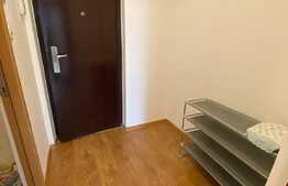 Garsoniera de 34 mp, partial mobilata, zona Noua 