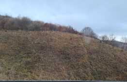 Apartament 2 camere, 52 mp, balcon 12 mp, etaj intermediar! Zona Teilor!