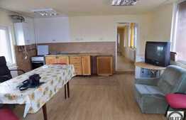 Apartament cu 3 camere, 100 mp, imobil tip casa, strada Patriciu Barbu