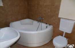 Apartament cu 3 camere, 100 mp, imobil tip casa, strada Patriciu Barbu