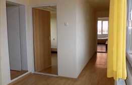 Apartament cu 3 camere, 100 mp, imobil tip casa, strada Patriciu Barbu