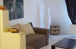 Mansarda cu 1 camera, 36 mp utili! Zona Somesului!