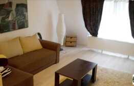 Mansarda cu 1 camera, 36 mp utili! Zona Somesului!