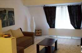 Mansarda cu 1 camera, 36 mp utili! Zona Somesului!