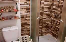 Casa individuala renovabila, 58 mp utili, 1000 mp teren, in Corpadea