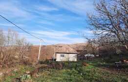 Casa individuala renovabila, 58 mp utili, 1000 mp teren, in Corpadea