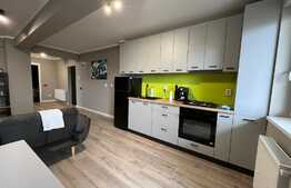 Apartament 3 camere, mobilat lux, parcare subterana, 65 mp, zona Terra