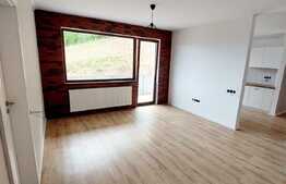 Apartament 3 camere, 63 mp, zona Sub Cetate