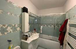 Apartament de 2 camere, 50 mp gradina.