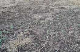 Teren intravilan pentru constructie de casa sau duplex, zona Somesului