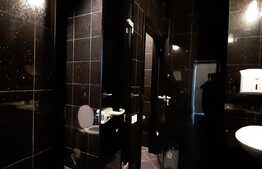 Spatiu comercial-birouri de inchiriat, 208-500 mp, Central