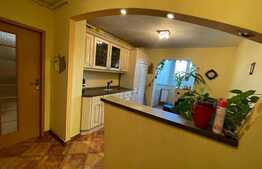 Apartament de 2 camere, pet friendly, 50 mp, parcare, zona Primaverii