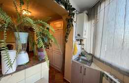 Apartament de 2 camere, pet friendly, 50 mp, parcare, zona Primaverii