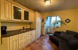 Apartament de 2 camere, pet friendly, 50 mp, parcare, zona Primaverii