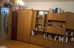 Garsoniera de inchiriat, 30 mp, zona Expo Transilvania