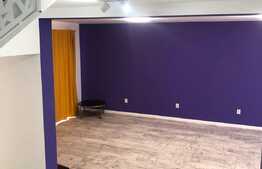 Casa individuala 120 mp, 250 mp teren, totul nou, cartier Borhanci