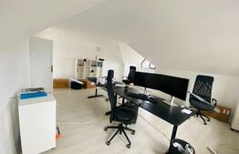 Vila de inchiriat, 400 mp, teren de 1000 mp, Gheorgheni, ideala sediu firma/clinica