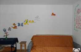 Garsoniera, 29 mp utili,  etaj intermediar, zona Calea Floresti