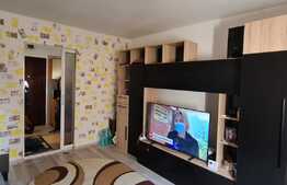 Camera de camin, 24 mp, zona Tractorul