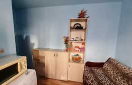 Garsoniera mobilata si utilata, zona strazii Primaverii