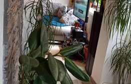 Casa mica si cocheta in suprafata de 50 mp, la doar 3 km de centrul orasului 