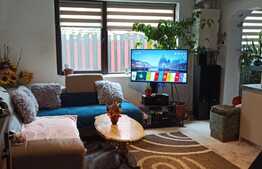 Casa mica si cocheta in suprafata de 50 mp, la doar 3 km de centrul orasului 