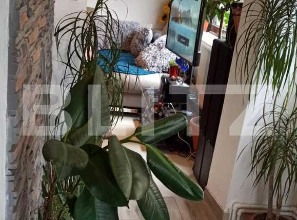 Casa de vânzare 2 camere Marasti - 76424CV | BLITZ Cluj-Napoca | Poza5