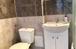 Garsoniera mobilata modern, 40 mp, zona strazii Bocskai Istvan, Borhanci, Pet friendly