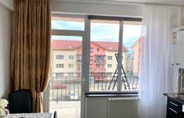 Garsoniera mobilata modern, 40 mp, zona strazii Bocskai Istvan, Borhanci, Pet friendly